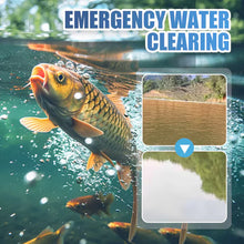 Load image into Gallery viewer, Premium Pond Care Powder | Water Clarifier & Algae Control 🐟🌊🔬 ( Buy 1 Get 1 Free )