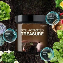 Load image into Gallery viewer, Soil Activated Treasure Premium Soil Activator 200gram (Pack of 2)