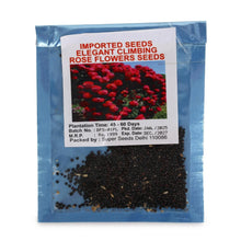 Load image into Gallery viewer, 🌹 Elegant Climbing Rose Flower Seeds🌹