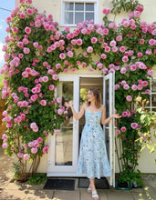 Load image into Gallery viewer, 🌹 Elegant Climbing Rose Flower Seeds🌹