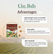 Load image into Gallery viewer, LECA Clay Balls (400gm) - Hydrotons Lightweight Expanded Clay
